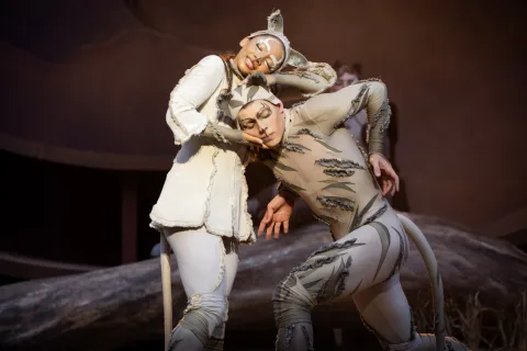 Cats Dress Rehearsal 13 Edit