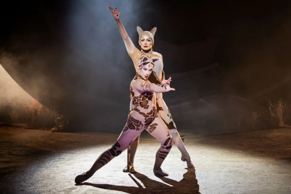 Cats Dress Rehearsal 108 Edit Edit
