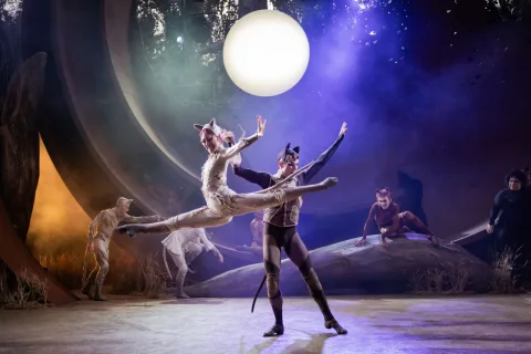 Cats Dress Rehearsal 63 Edit