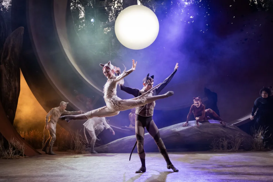 Cats Dress Rehearsal 63 Edit