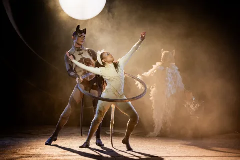 Cats Dress Rehearsal 118 Edit