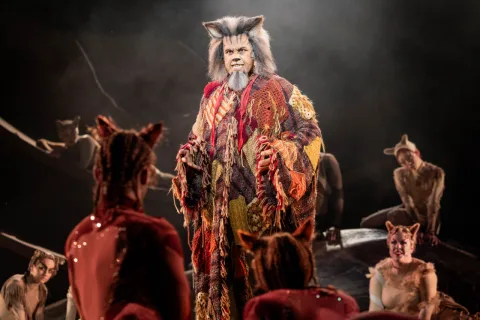 Cats Dress Rehearsal 87 Edit