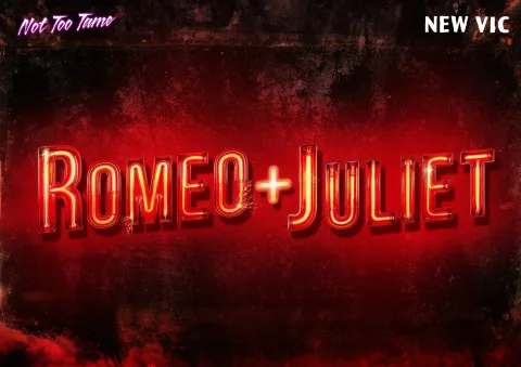 Romeo & Juliet Poster/artwork