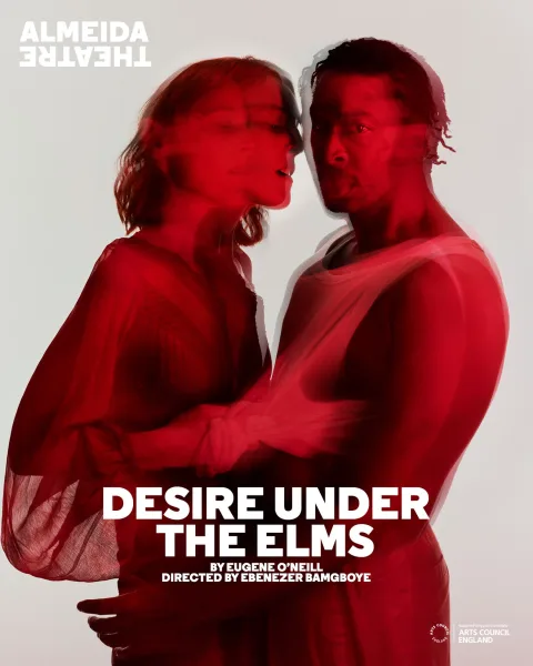 Desire Under the Elms poster