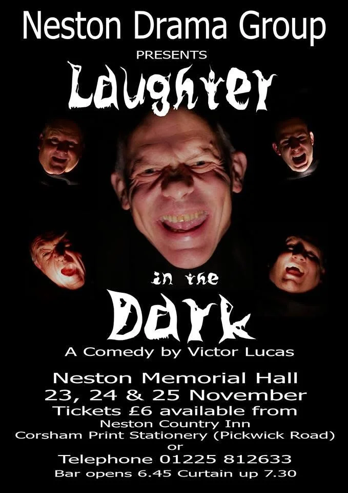 Laughter in the Dark poster