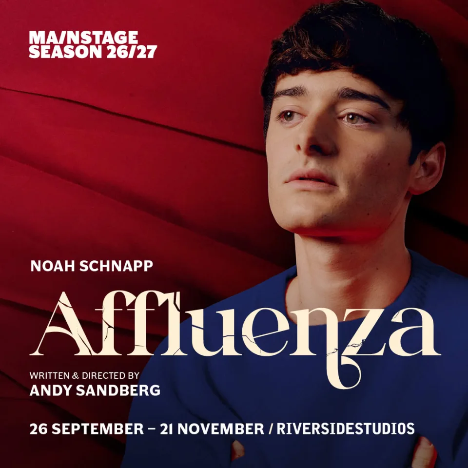 Affluenza poster