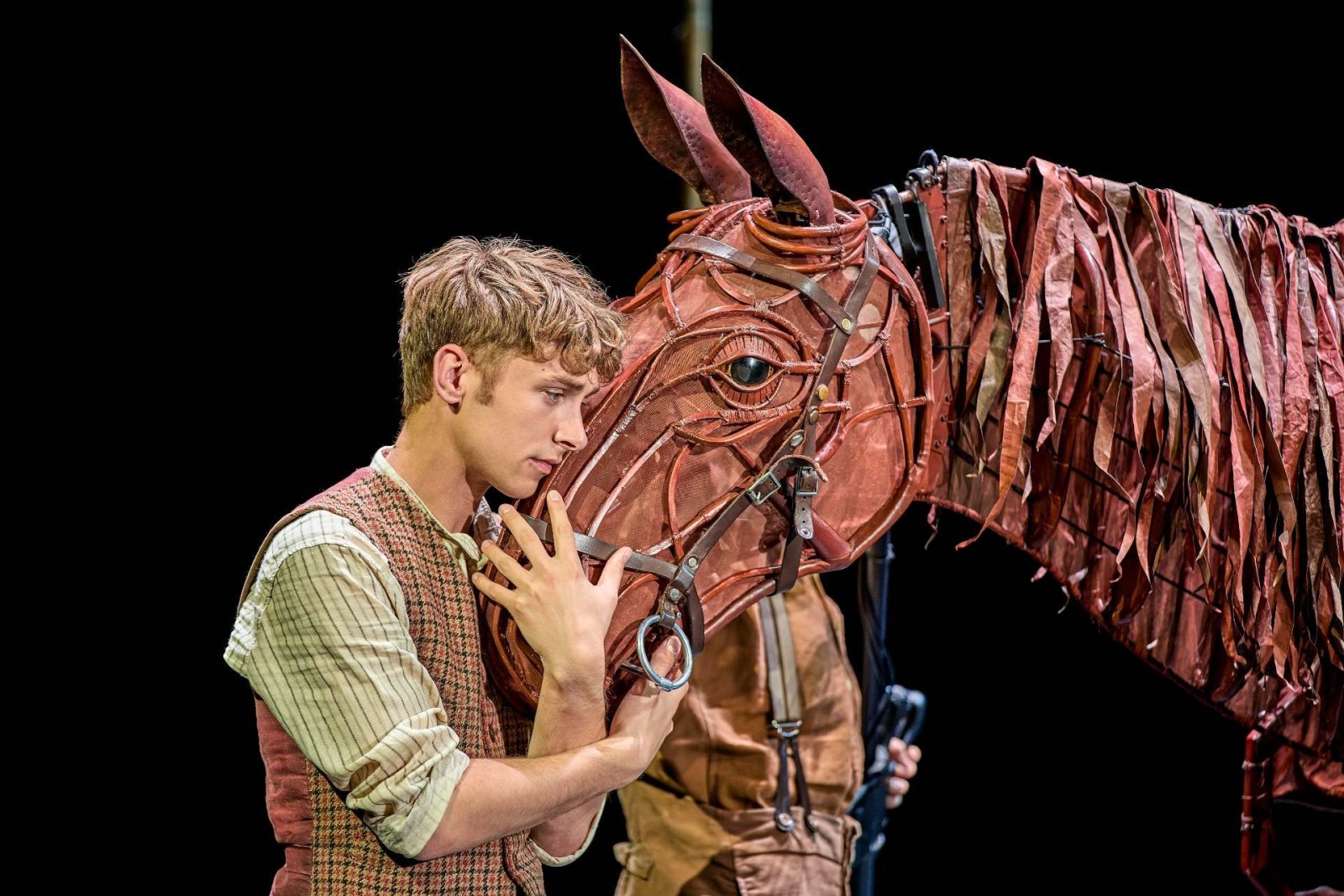 War Horse