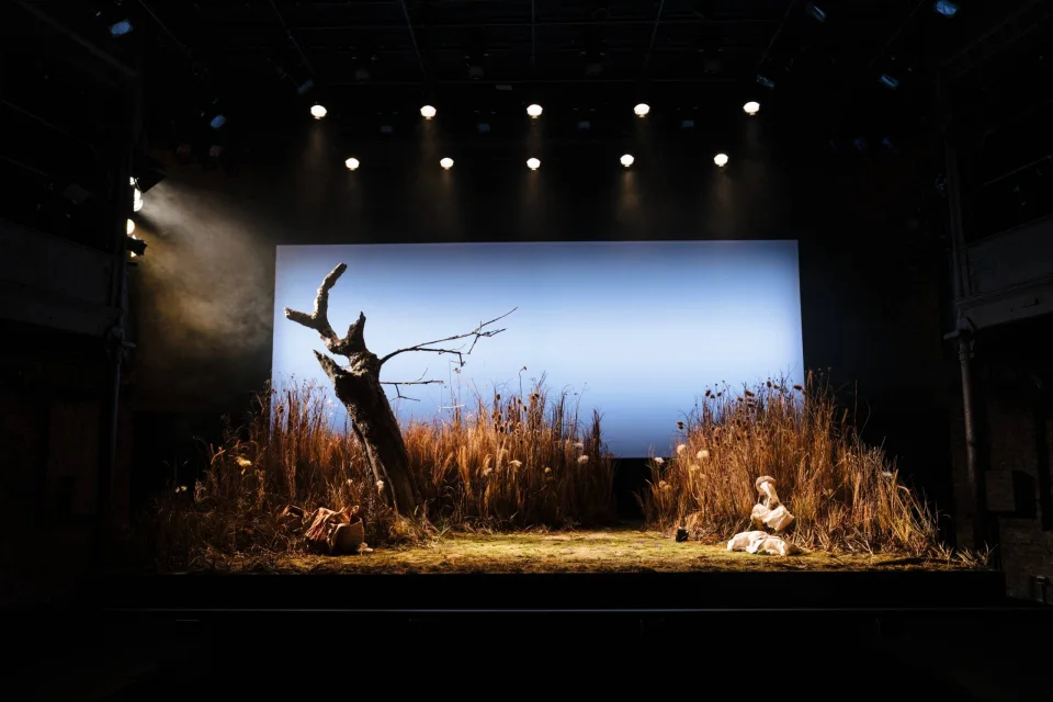 1536 Almeida Production Helen Murray 339 scaled